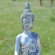 Bouddha de la Conscience