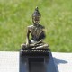 Bouddha du voyage intérieur