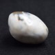 Agate galet 04