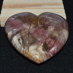 Madera fosilizada corazón COBF1