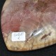 Bois fossile coeur COBF1