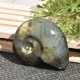 Labradorite taillée façon ammonite AMLB6