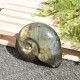 Labradorite taillée façon ammonite AMLB6