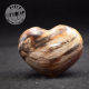 Madera fosilizada corazón COBF3