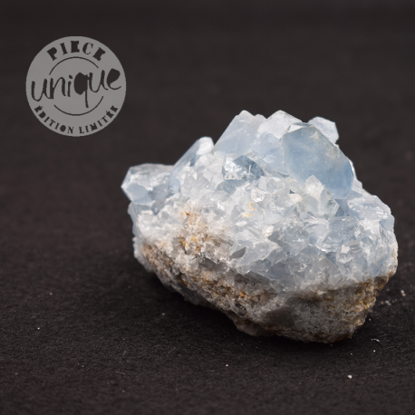 Celestina bruta 9