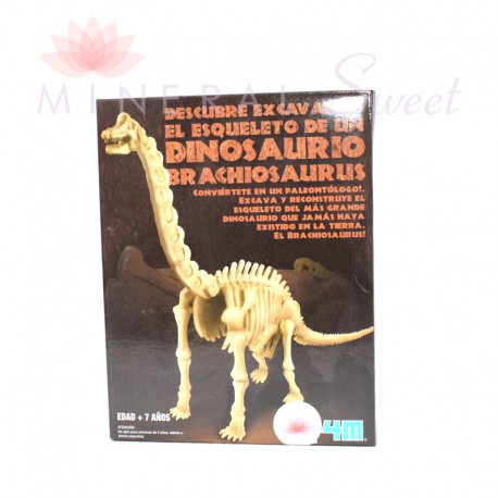 KIT ARQUEOLOGÍA BRAQUIOSAURIO