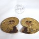 Couple Ammonites polies 3