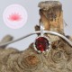 Ensemble pendentif Grenat mini 2 plus chaîne argent 40cm
