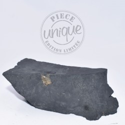 Shungite Brute 4