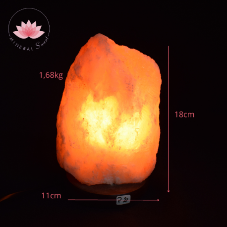 Lampe de sel de l'Himalaya 1-2kg+ cordon et ampoule P2