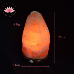 Lampe de sel de l'Himalaya 4-6Kg + cordon et ampoule G2