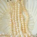Perlas cultivadas