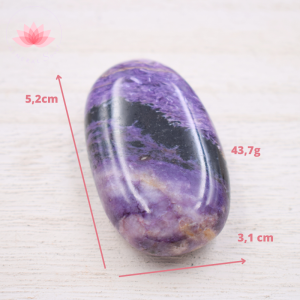 Galet Chakra Charoita 3