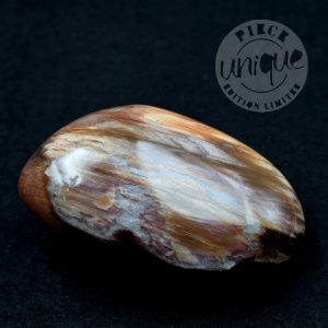 Bois fossile galet/4