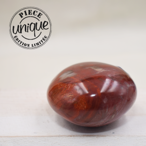 Bois fossile galet/ARM 18