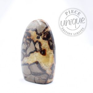 Septaria forme libre - 3