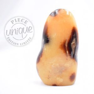 Septaria forme libre - 4